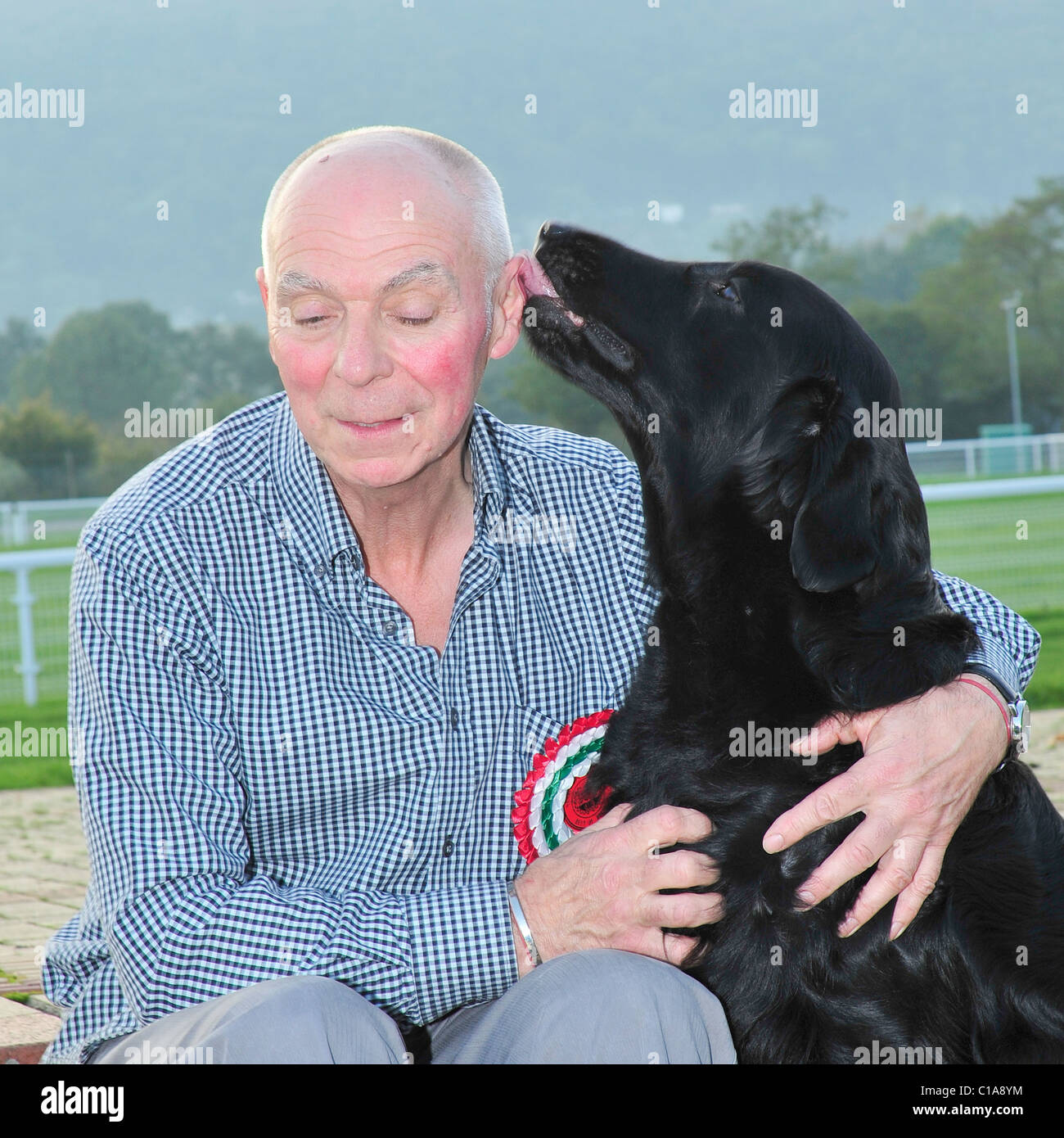 Im Irving und jet-den Gewinner der Crufts best in Show Stockfoto