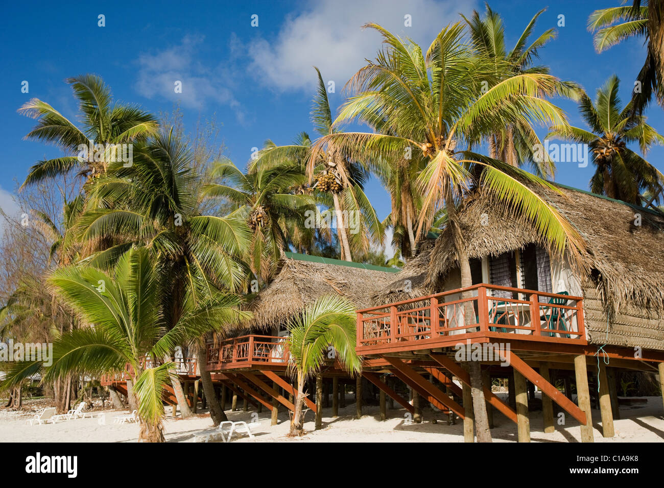 Strandhütten und Palmen, Cook-Inseln Stockfoto