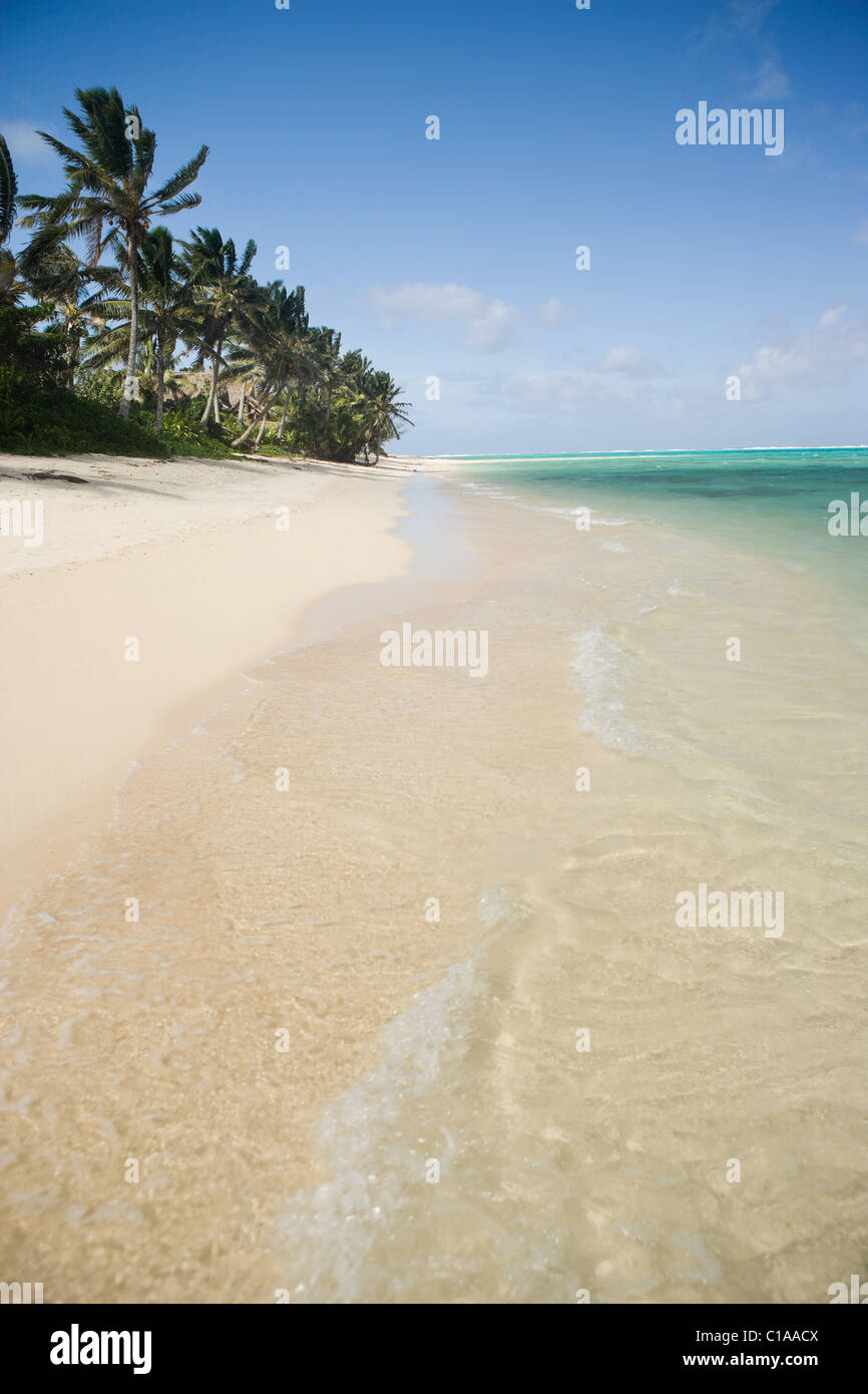 Strand mit Palmen Stockfoto