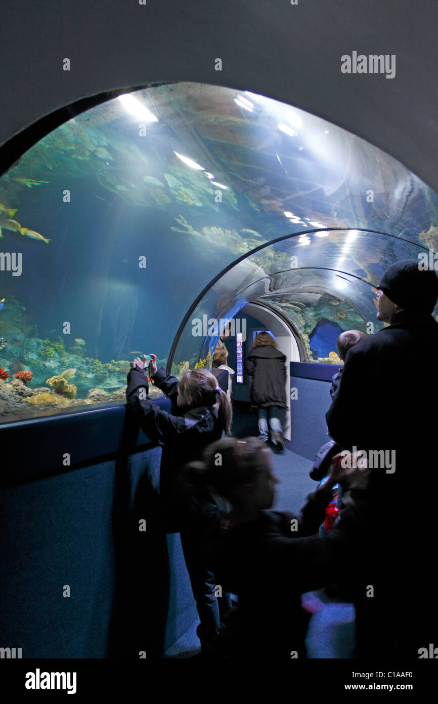 Tunnel aquarium Fotos und Bildmaterial in hoher Auflösung Alamy