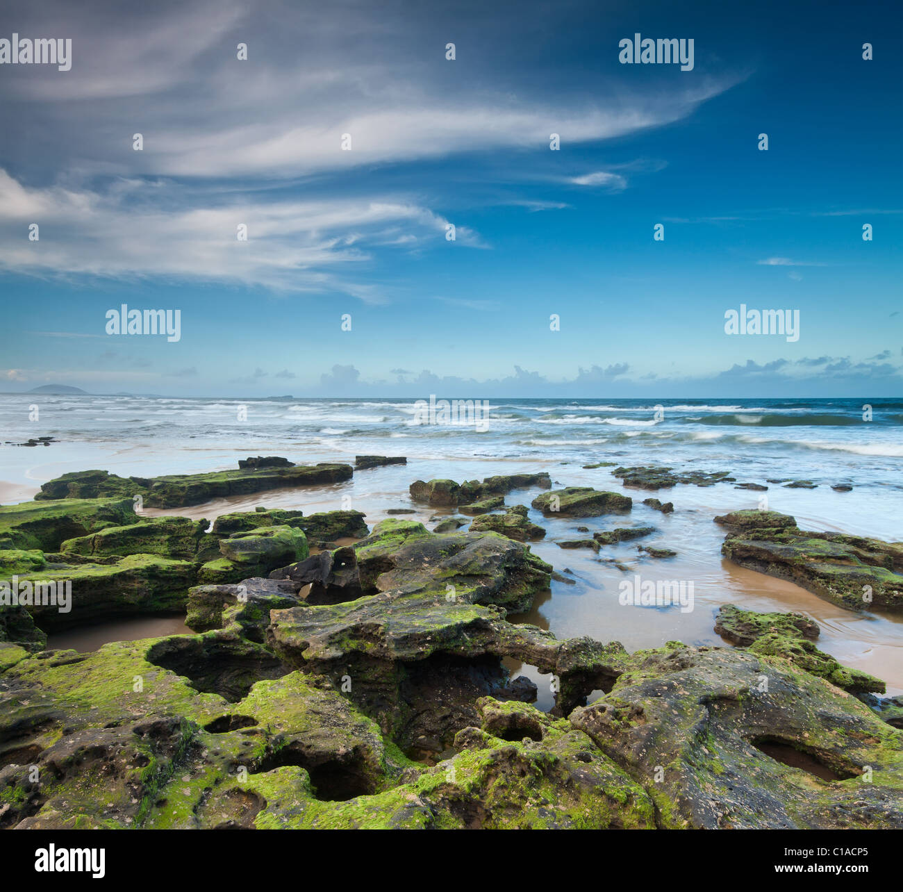Australischen Strand in der Abenddämmerung mit interessanten Felsen im Vordergrund (Alexandra Headland, Qld, Australien) Stockfoto