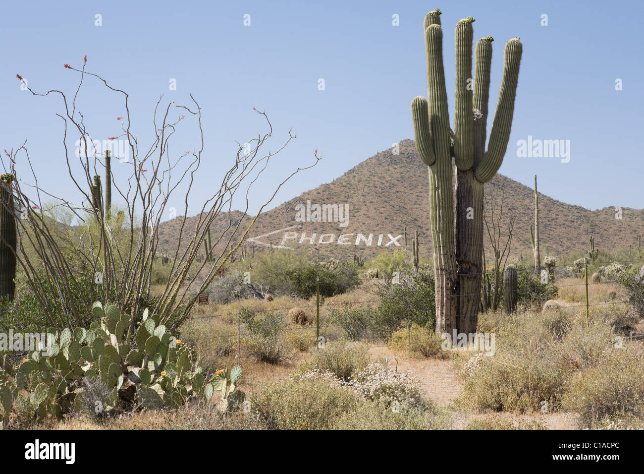 Melden Sie auf Hügel zeigt nach Phoenix, Arizona, USA Stockfoto
