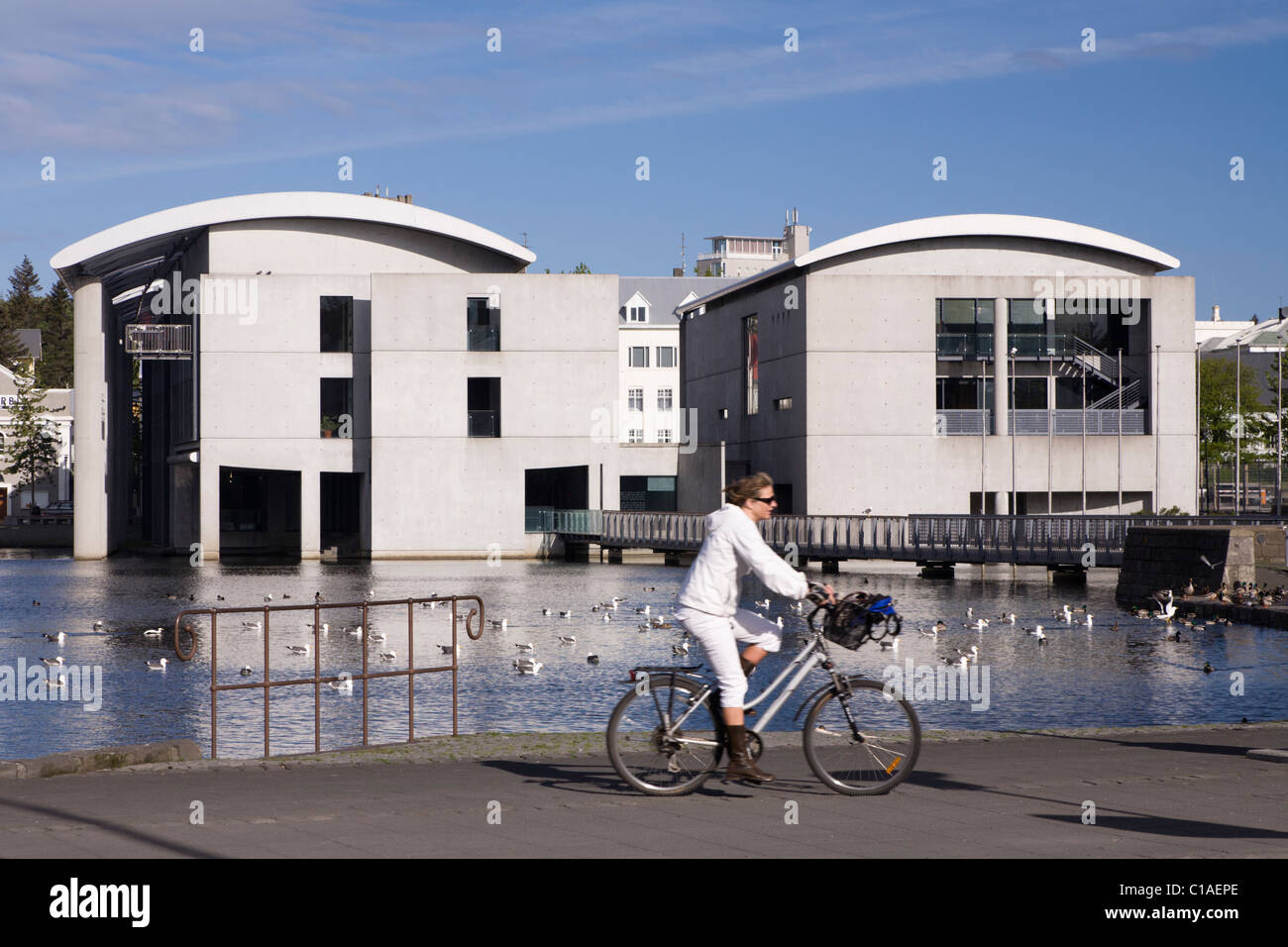 Rathaus von Reykjavik. Reykjavik, Island. Stockfoto