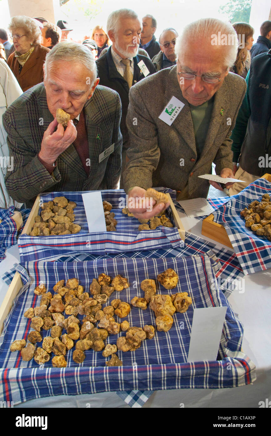 Moncalvo nationale Trüffelmesse, Bewertung der weißen Trüffel, die in den Wettbewerb, Asti, Piemont, Italien, Europa Stockfoto