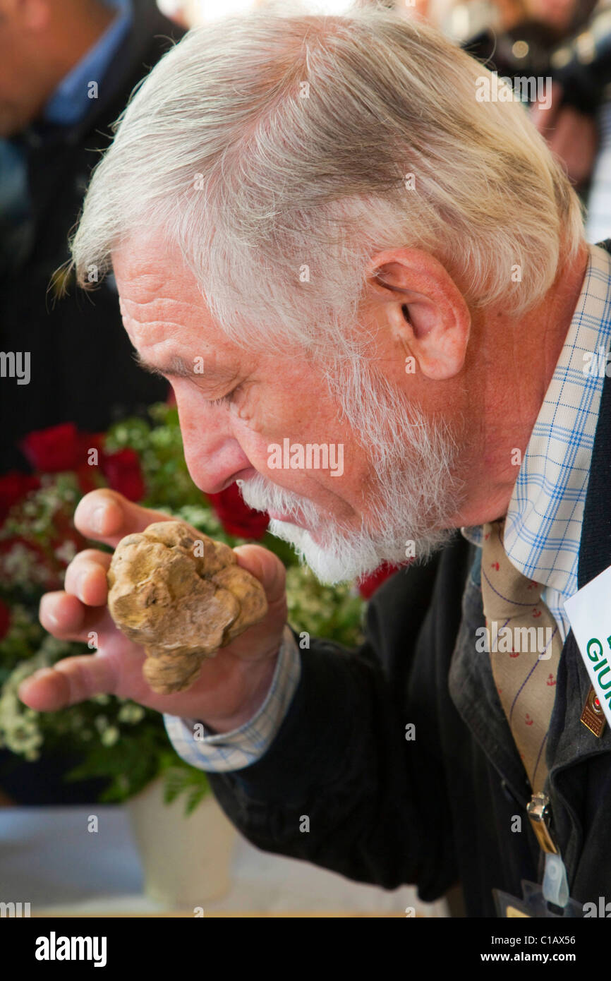 Moncalvo nationale Trüffelmesse, Bewertung der weißen Trüffel, die in den Wettbewerb, Asti, Piemont, Italien, Europa Stockfoto
