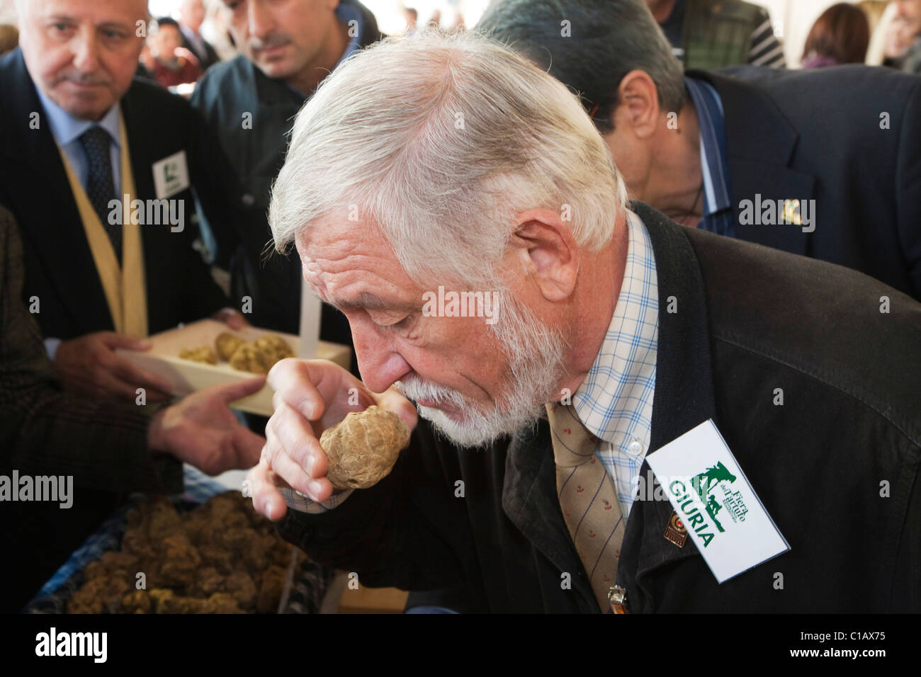 Moncalvo nationale Trüffelmesse, Bewertung der weißen Trüffel, die in den Wettbewerb, Asti, Piemont, Italien, Europa Stockfoto