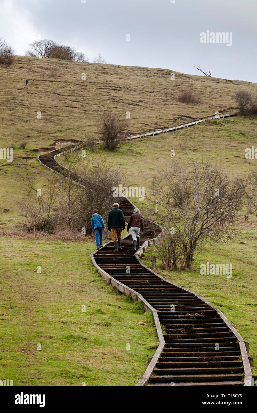 Holztreppe, die einfachen Zugang zu den Top od St. Catherines Hill Winchester Stockfoto