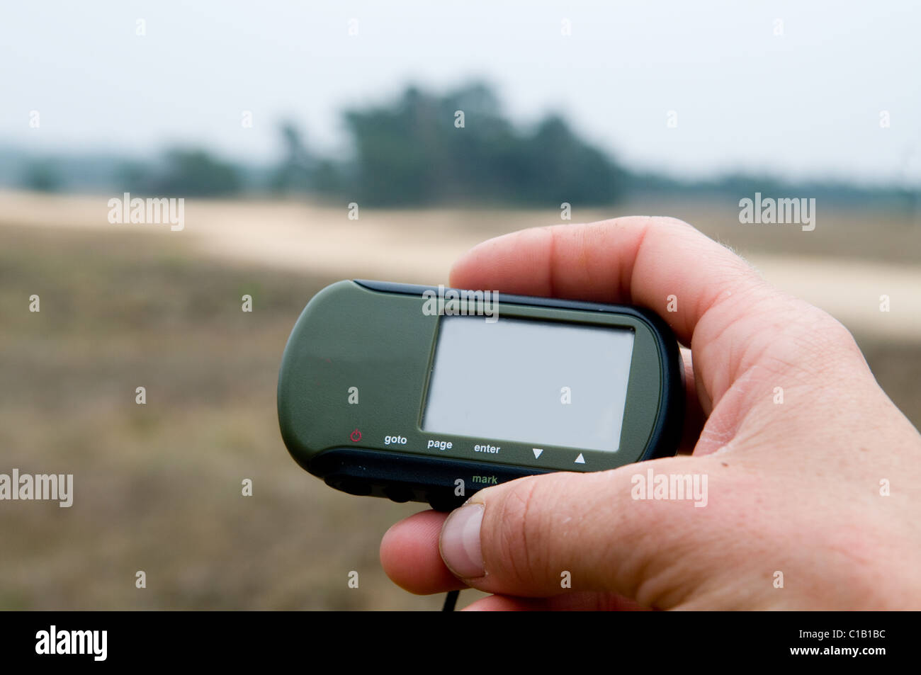 Gehen auf eine Wanderung mit einem GPS in den Niederlanden (Hoge Veluwe) Stockfoto