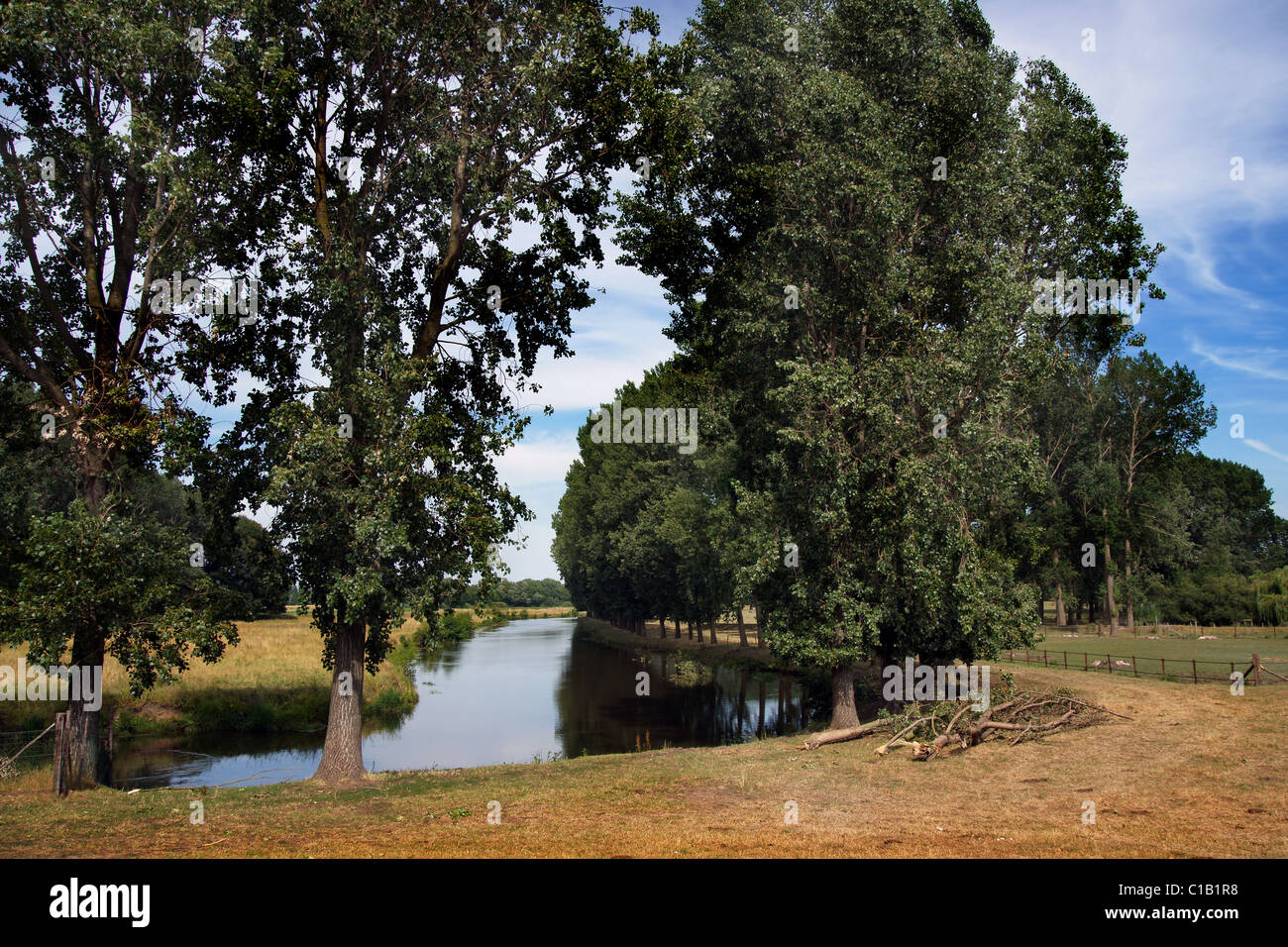 der Ruhr mit Bäumen Stockfotografie Alamy
