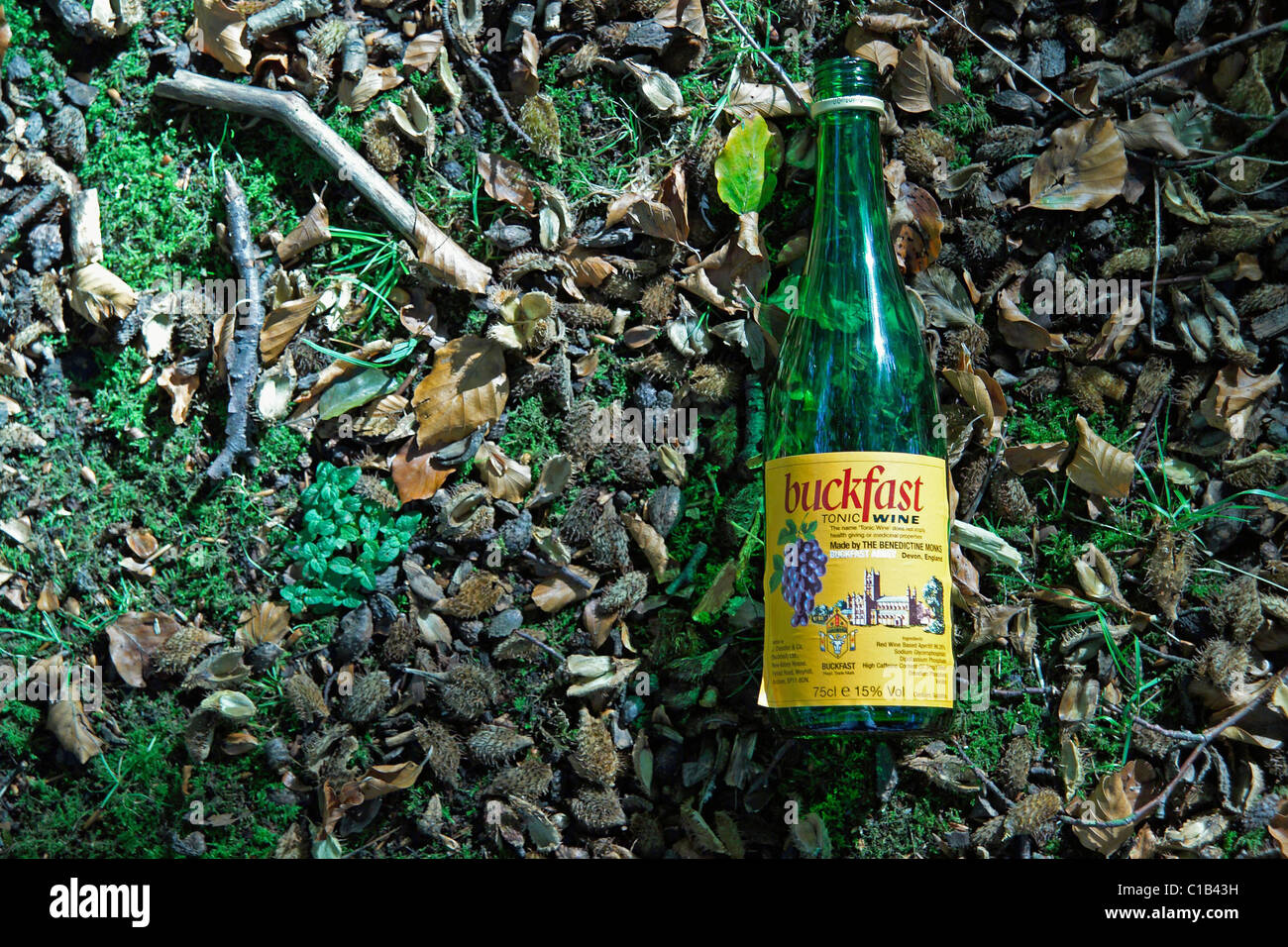 Leere Flasche Buckfast liegen auf Erden im park Stockfoto