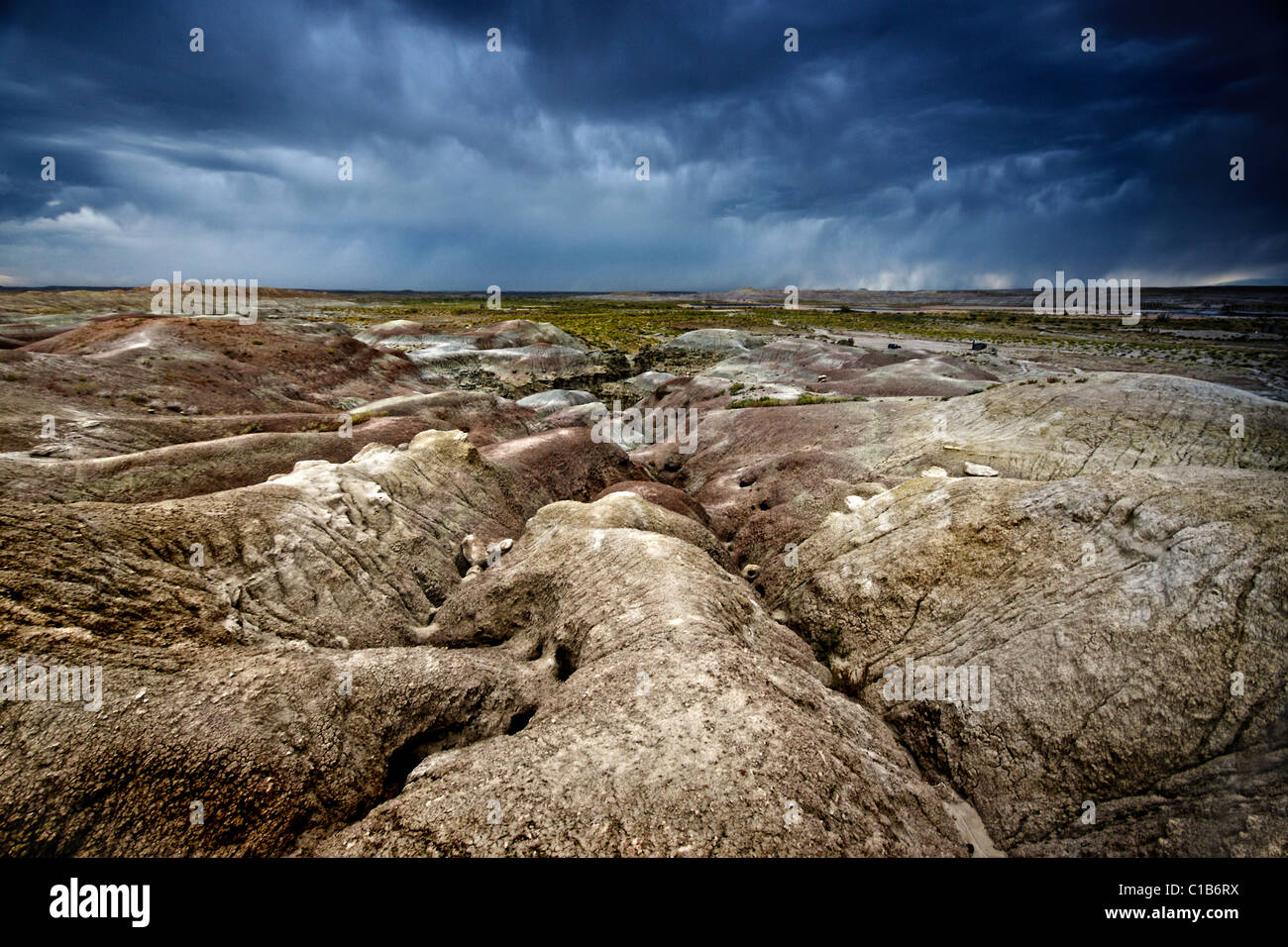 Badlands gemalt Hügel Petrified Forest State park Stockfoto
