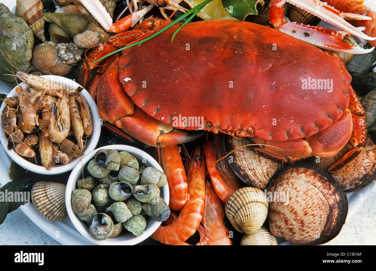 Teller mit frischen Meeresfrüchten auf dem Display, Ile de Ré, Frankreich Stockfoto