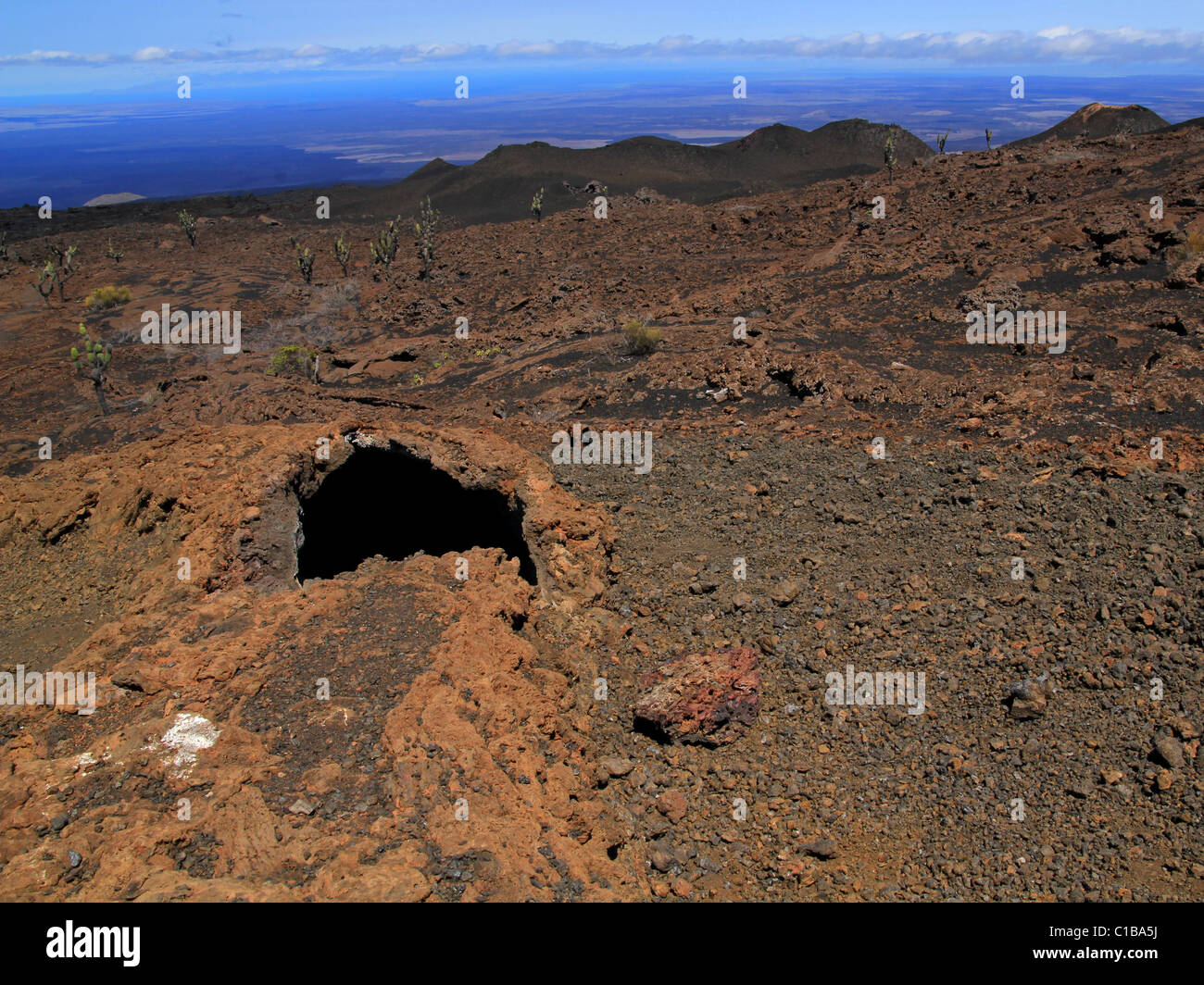 Sierra Negra, Isabela Island, Galapagos-Inseln (einer der aktivsten Vulkane Galapagos)--einzigartige Lava Tube Bildung Stockfoto