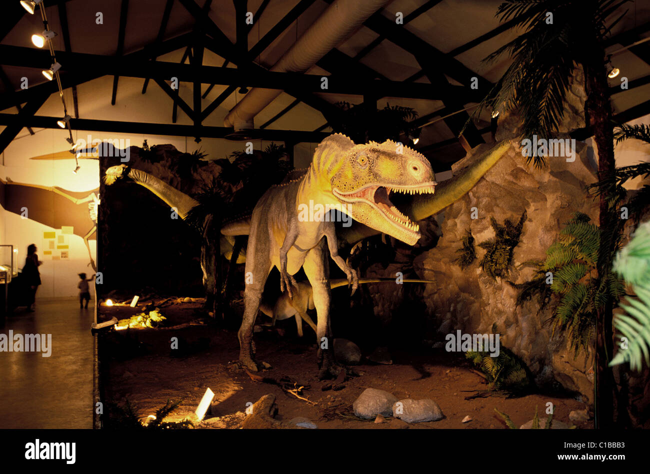 Frankreich, Aude, Esperaza, Dinosaurier-museum Stockfoto