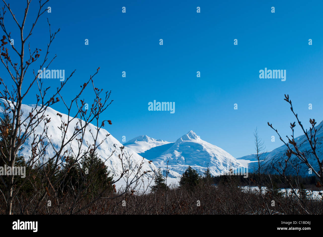 CHUGACH MOUNTAINS Stockfoto