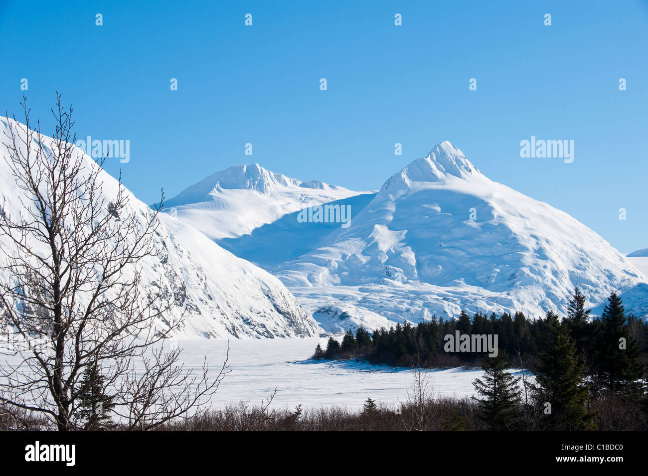 CHUGACH MOUNTAINS Stockfoto