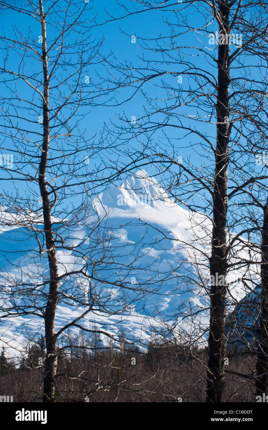 CHUGACH MOUNTAINS Stockfoto