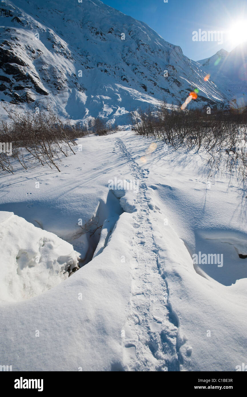 BYRON GLACIER TRAIL IM WINTER Stockfoto
