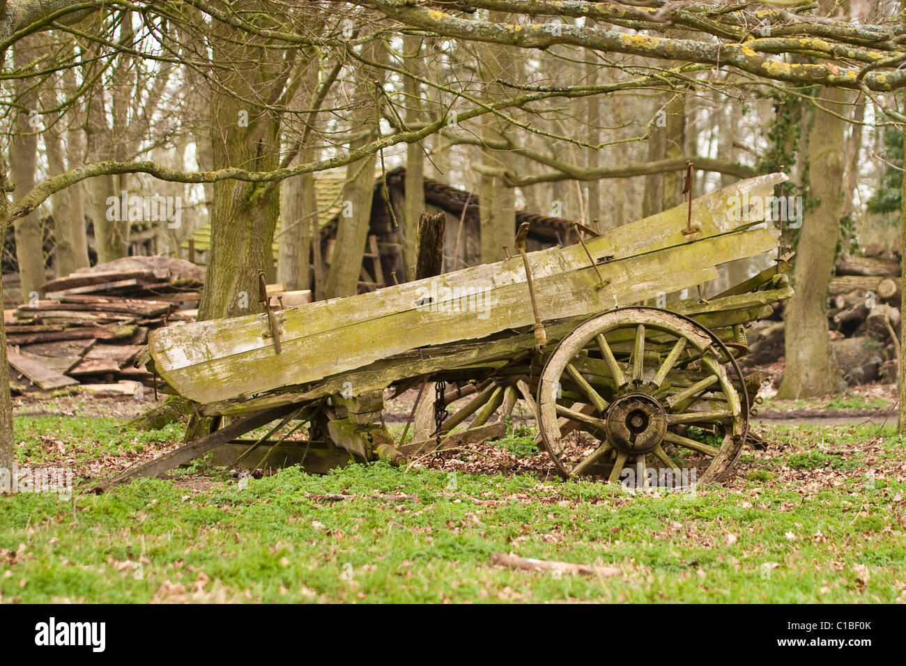 Antiker Wagen in einer bewaldeten Umgebung Stockfoto