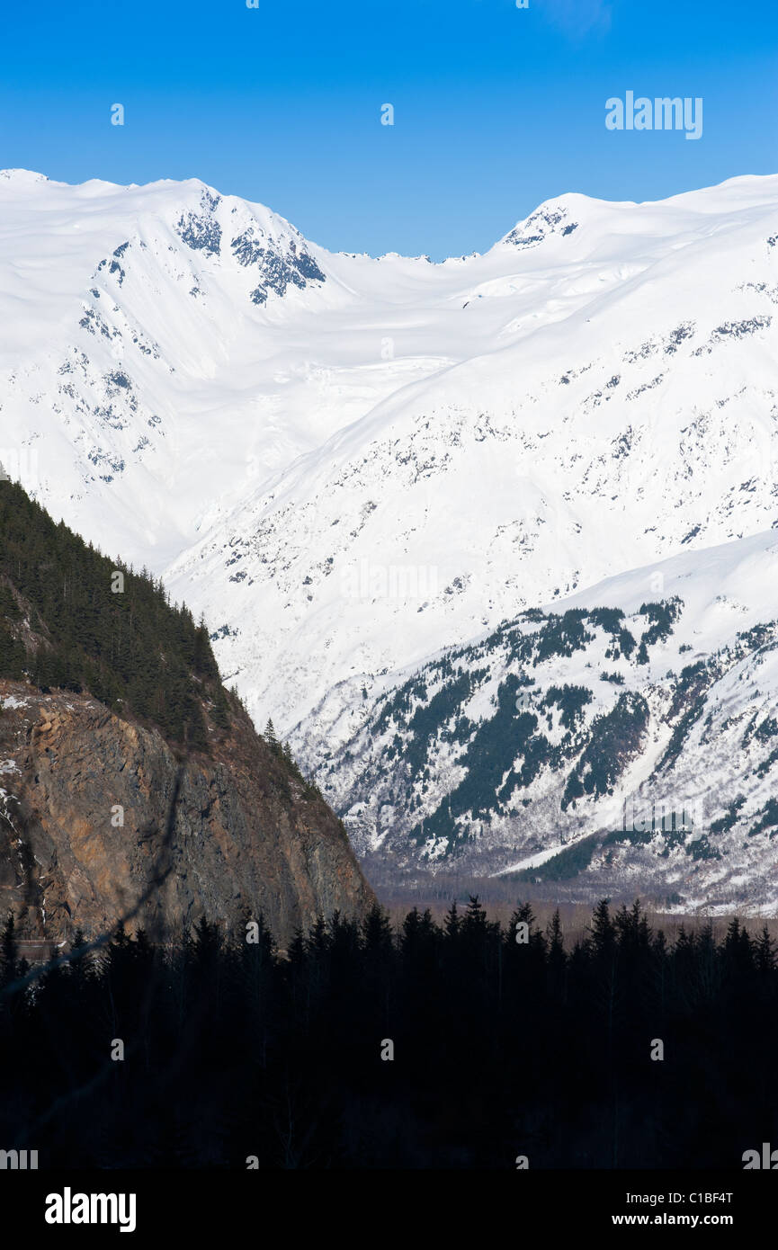 CHUGACH BERGE UND BÄUME Stockfoto
