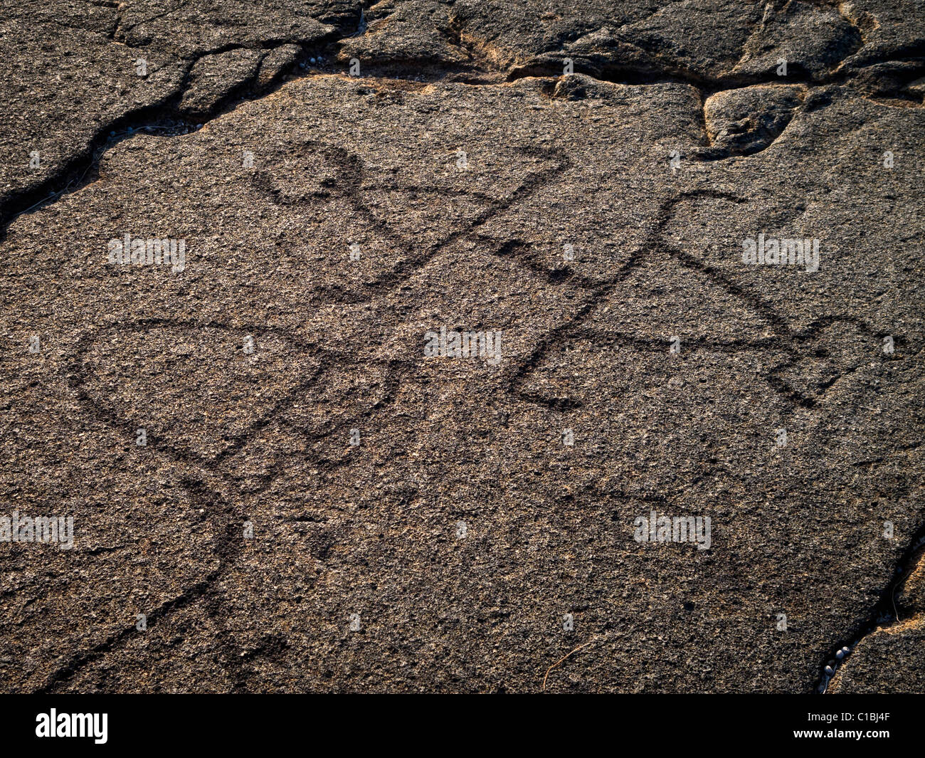 Uralte hawaiianische Petroglyphen in Kona, Hawaii. Stockfoto