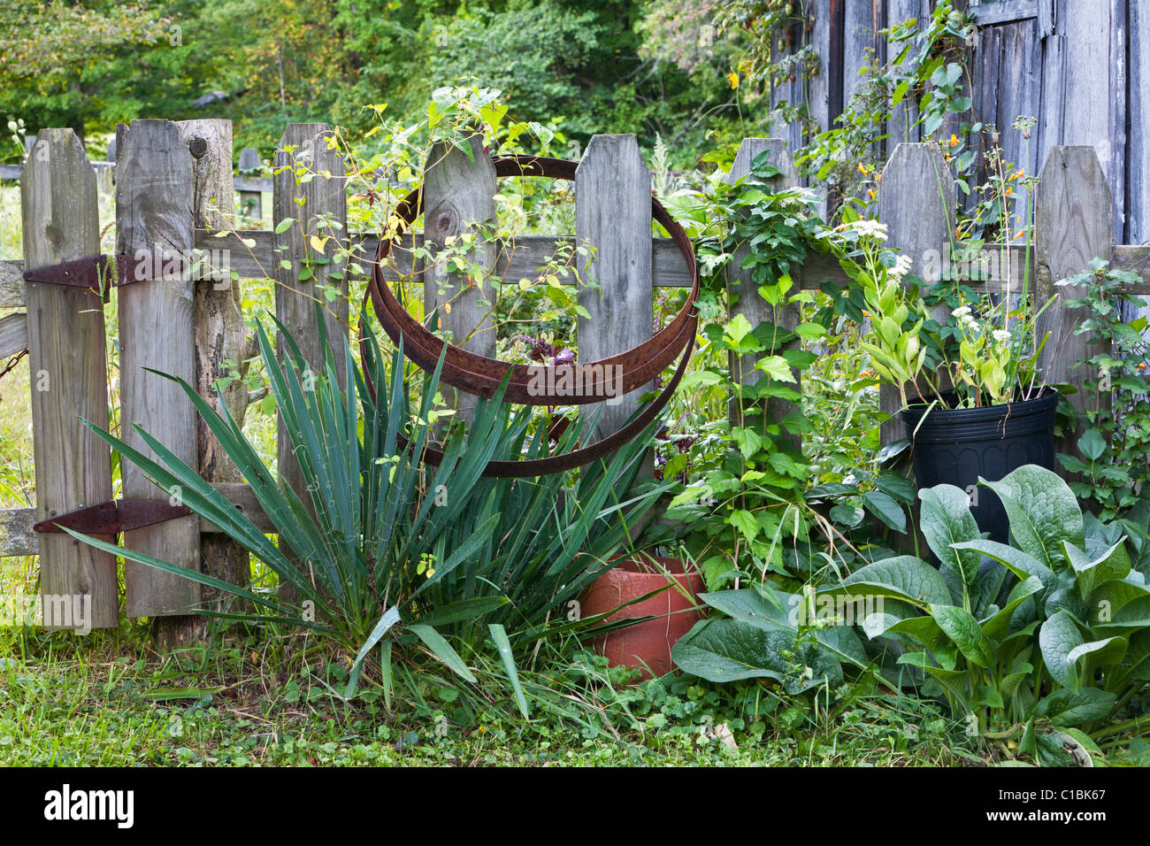 Zaun an der Grenze eines Kräutergarten. Stockfoto Zaun an der Grenze eines Kräutergarten. Stockfoto