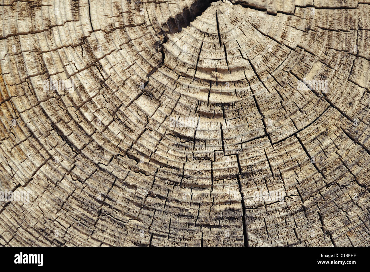 rissige Holz Textur Stockfoto