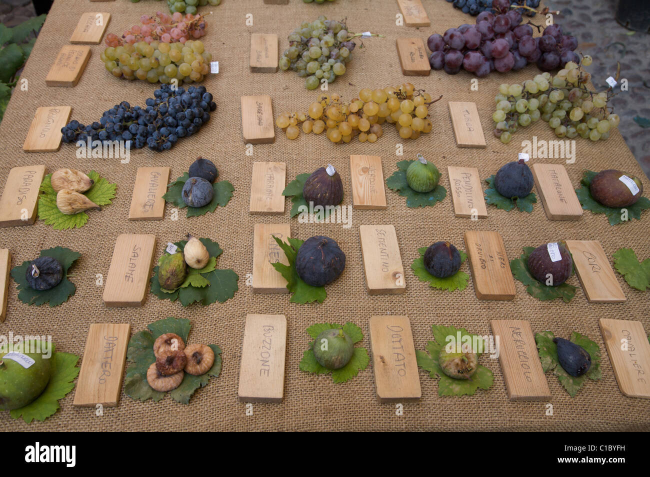 Exibithion des alten Früchte, Guastalla, Emilia Romagna, Italien, Europa Stockfoto