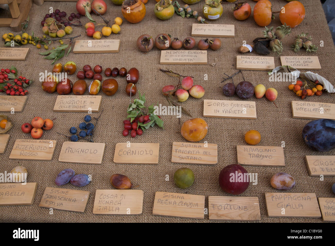 Exibithion des alten Früchte, Guastalla, Emilia Romagna, Italien, Europa Stockfoto
