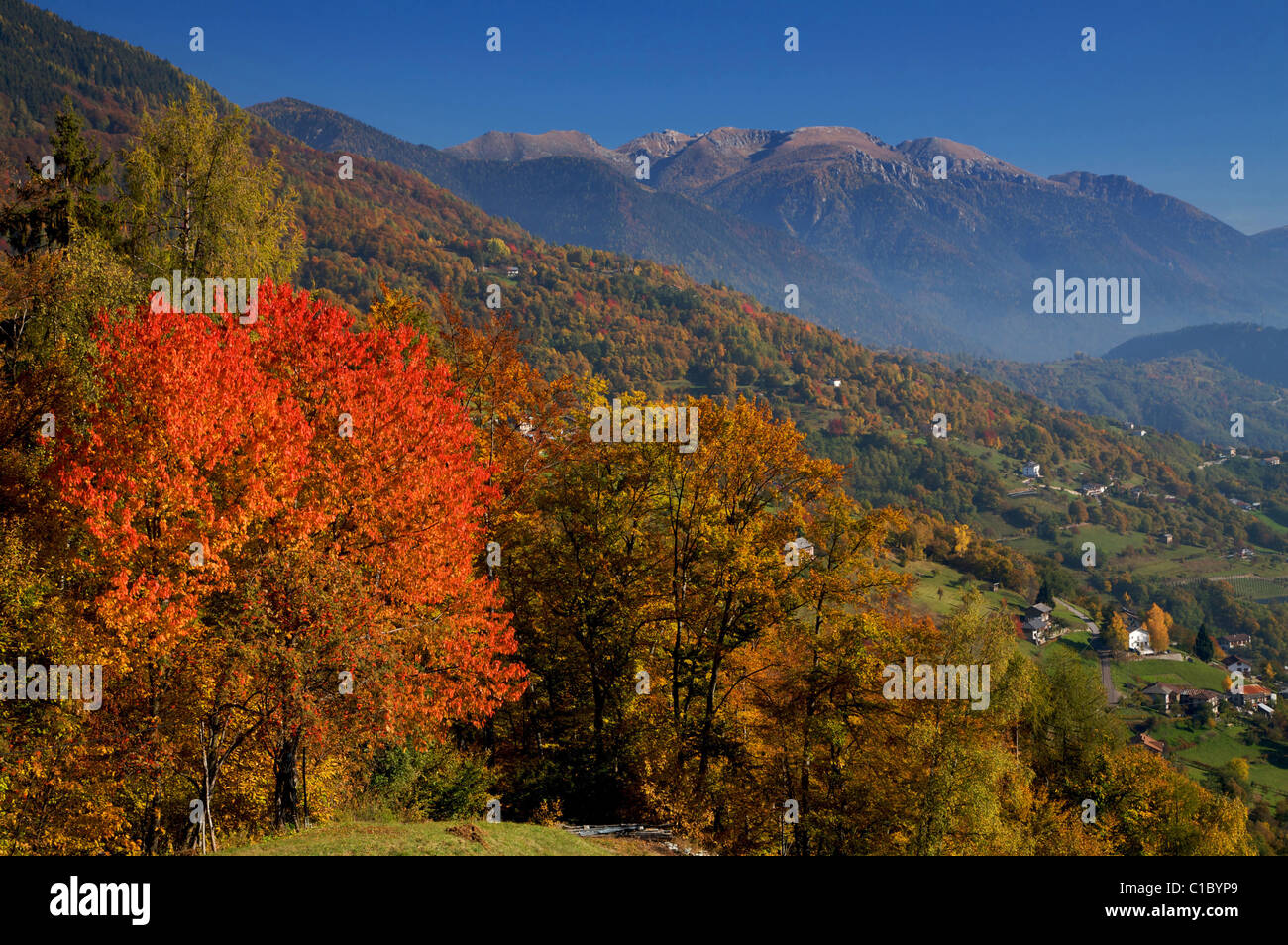 Roncegno, Valsugana Tal, eine Bergkette Lagorai, Trentino Alto Adige, Italien, Europa Stockfoto