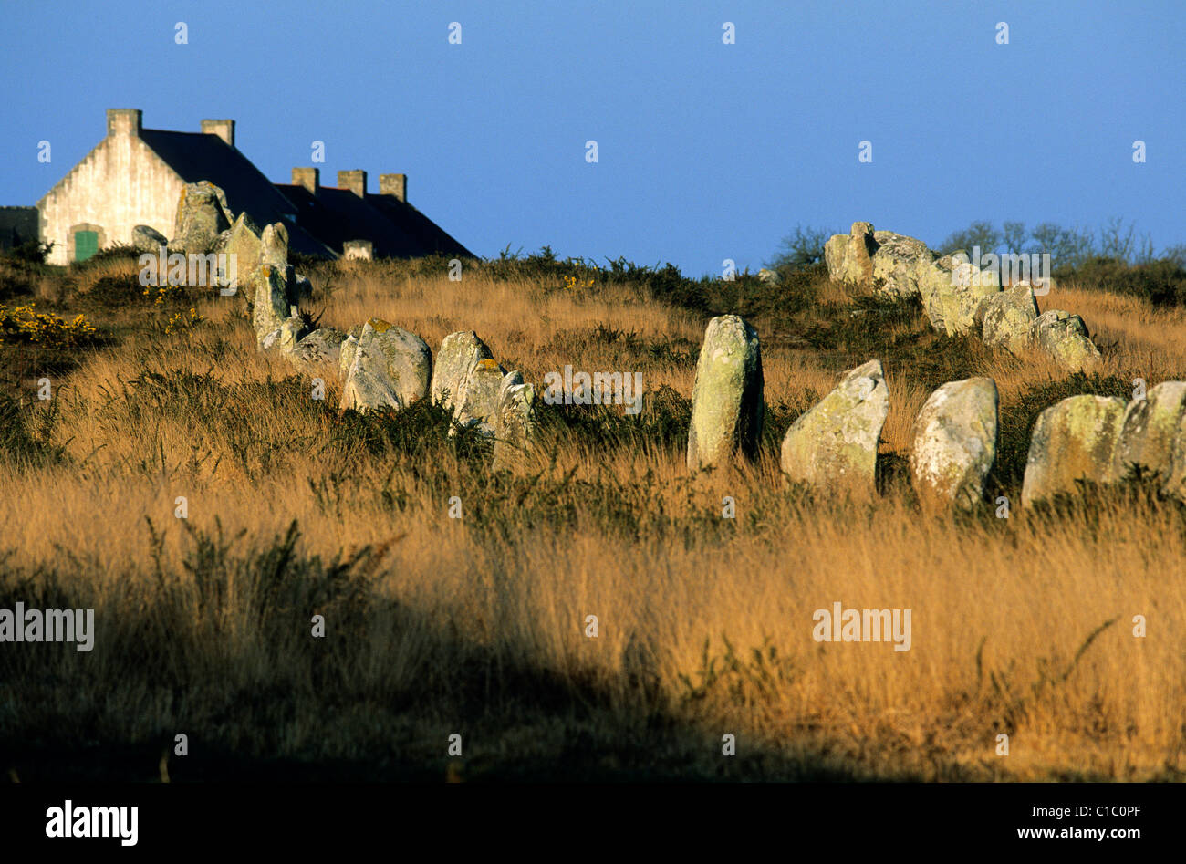 Frankreich, Morbihan, Carnac Megalithen, Menhire Linie Stockfoto