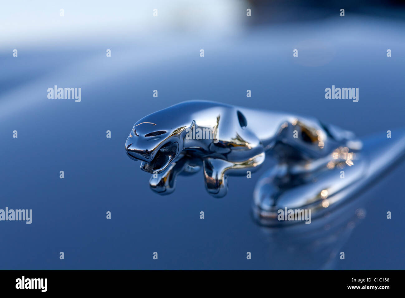 Kühlerfigur für einen Jaguar Automobil. Stockfoto