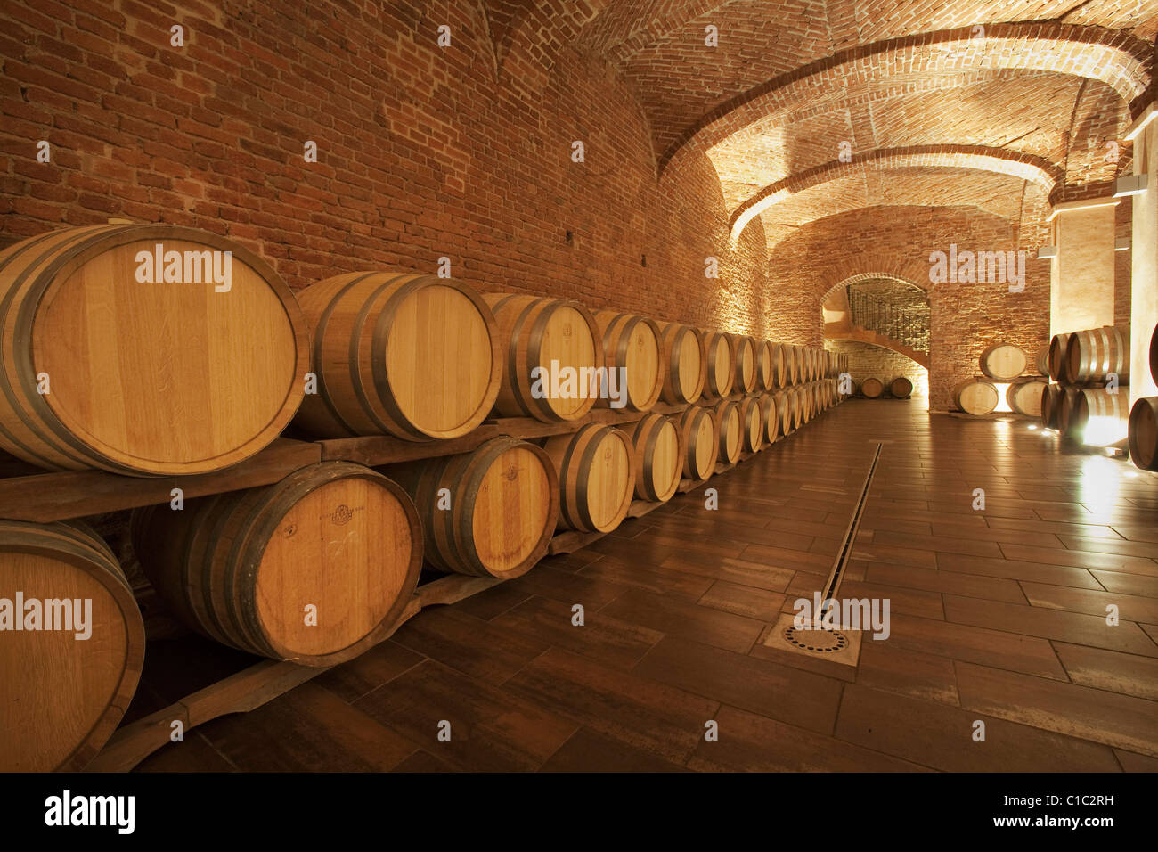 Gancia unterirdischen Wein Kathedrale in Canelli, Fässer benannte Barriques von Eichenholz, Asti, Piemont, Italien Stockfoto