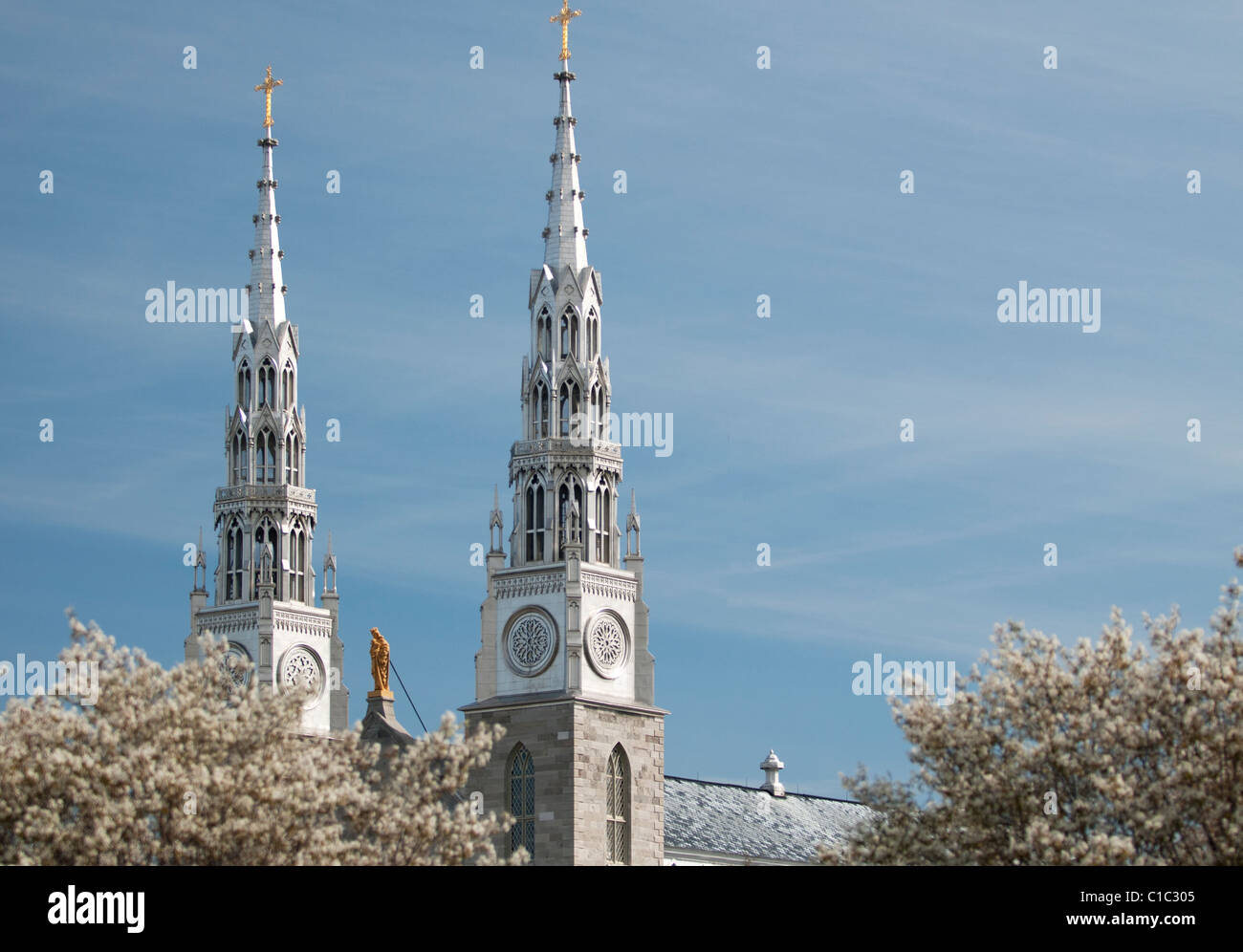 Die Türme und die Jungfrau Maria auf der Basilika Notre-Dame Kathedrale in Ottawa, Ontario. Stockfoto