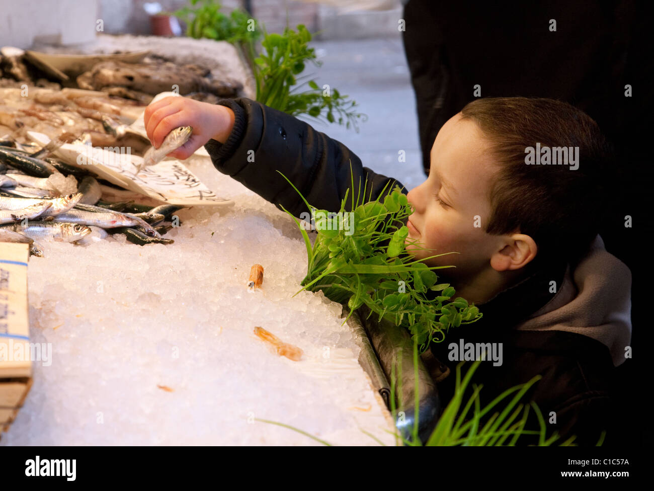 Ein kleiner Junge betrachtet man Fisch auf dem Fischmarkt, Venedig, Italien Stockfoto