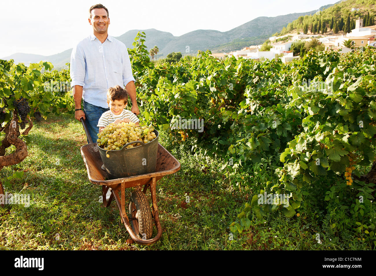 Vater und Sohn mit Trauben im Weinberg Stockfoto