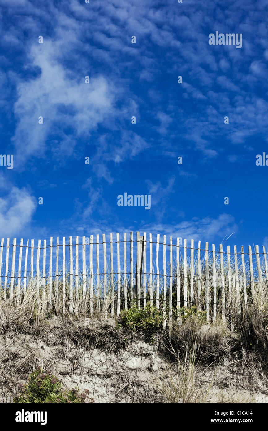 Hölzerne Lattenzaun auf Sanddüne mit blauem Himmel Stockfoto