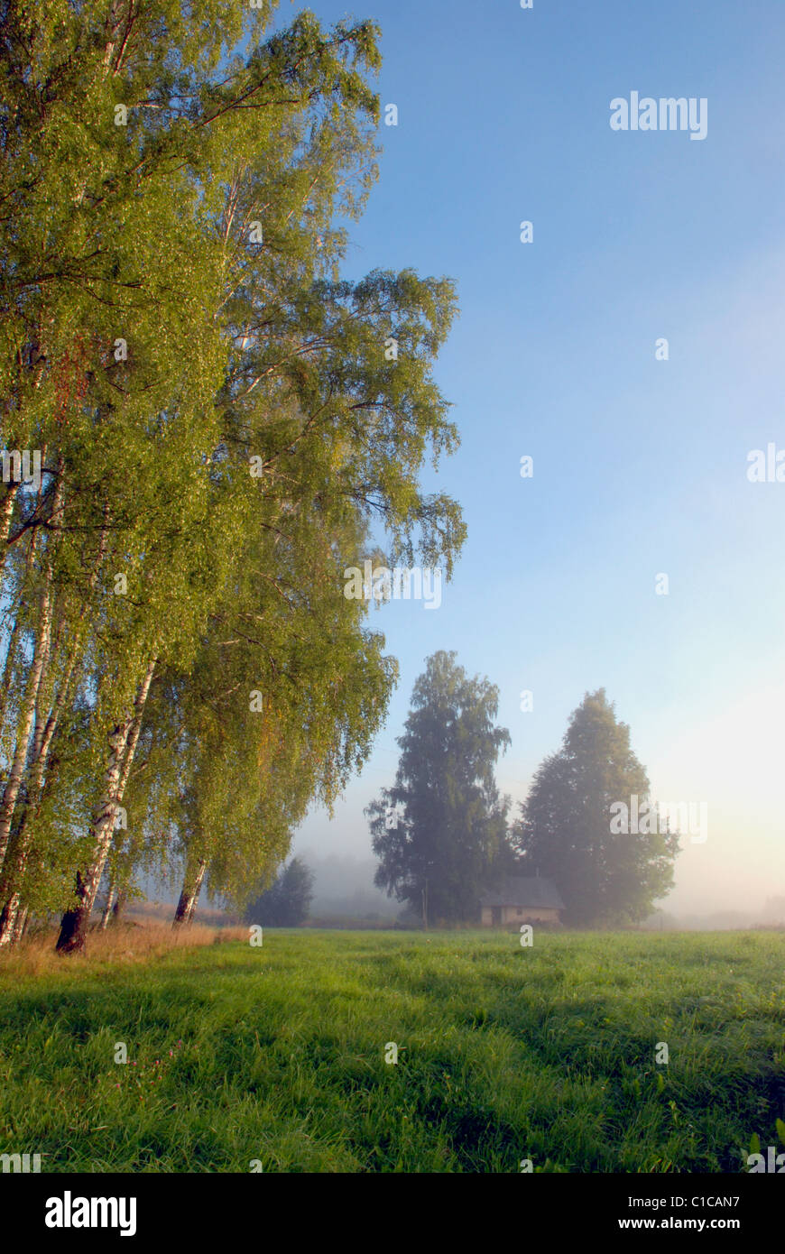 Warmen Sommermonaten morgendlichen Nebel schafft eine besondere Atmosphäre Stockfoto