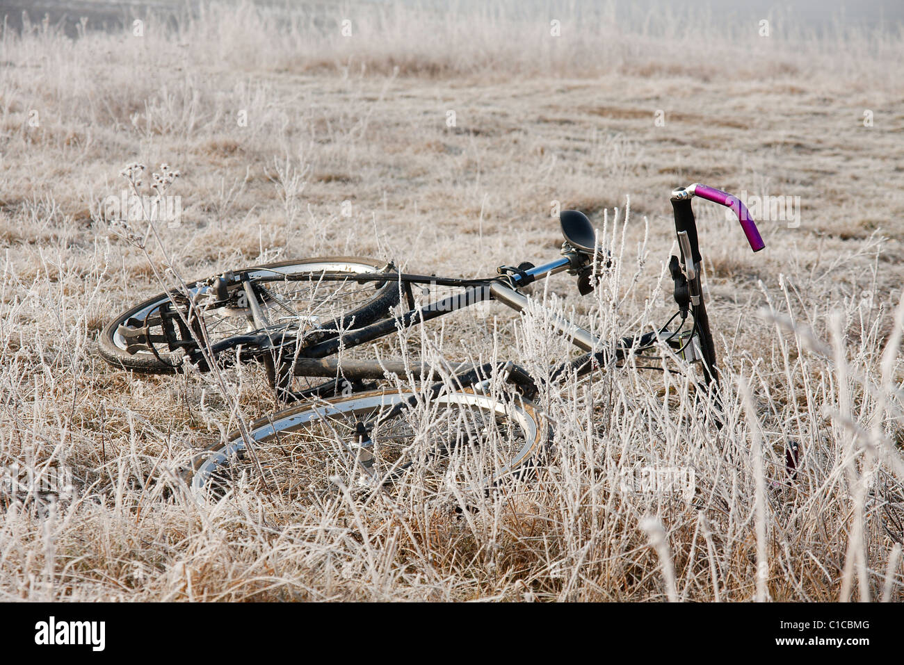 Fahrrad auf eine frostige Winterlandschaft Stockfoto