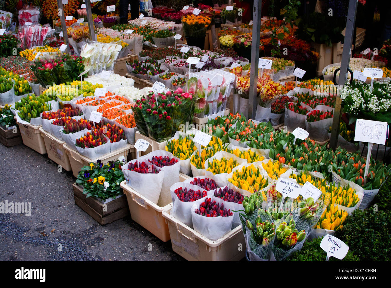 Blumen, Clogs & Cannabis-Starter-Kits - alle verfügbaren auf dem Blumenmarkt in Amsterdam Stockfoto