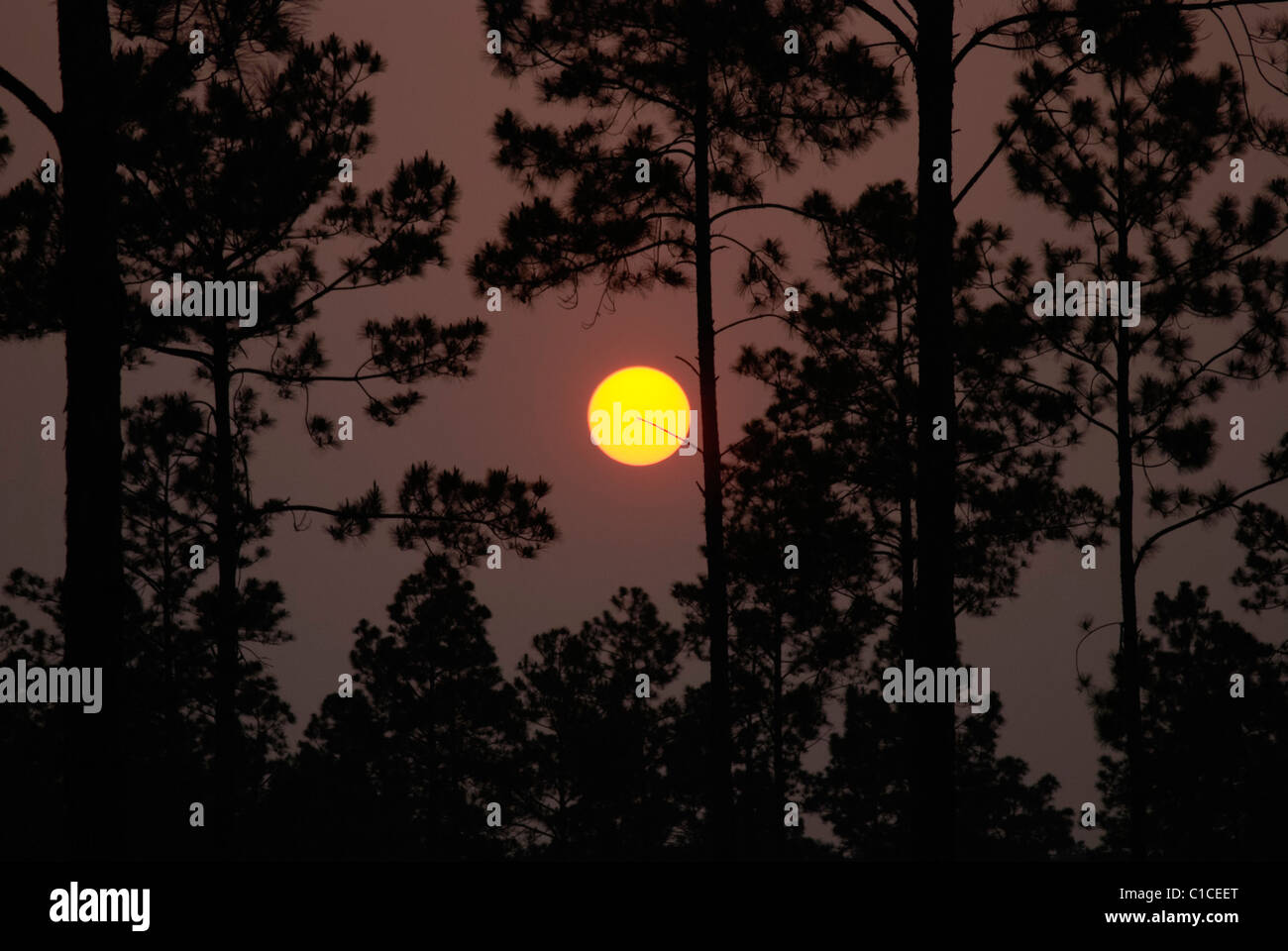 Golden Orb der untergehenden Sonne durch eine rauchige Atmosphäre Stockfoto