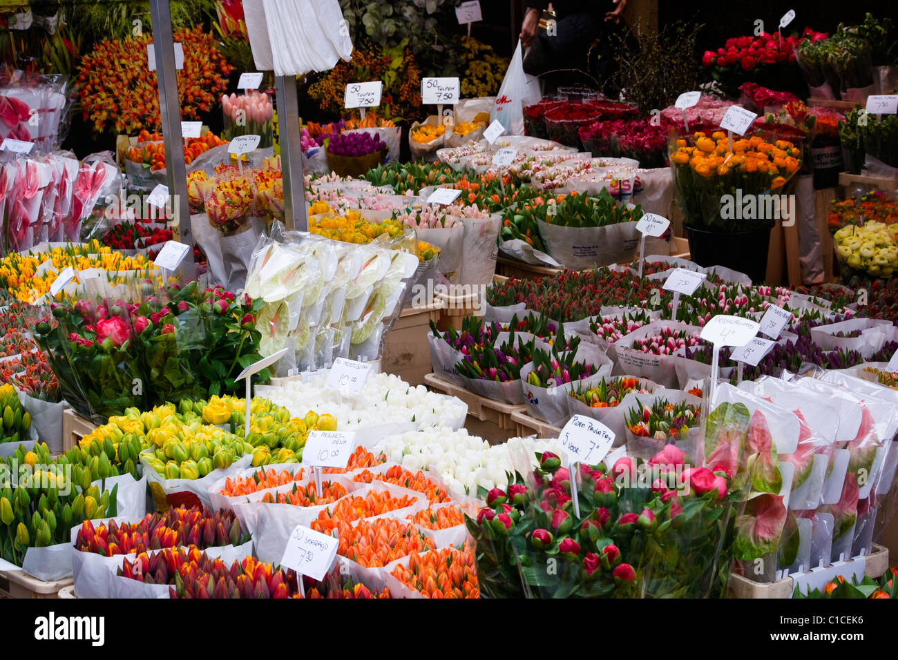 Blumen, Clogs & Cannabis-Starter-Kits - alle verfügbaren auf dem Blumenmarkt in Amsterdam Stockfoto