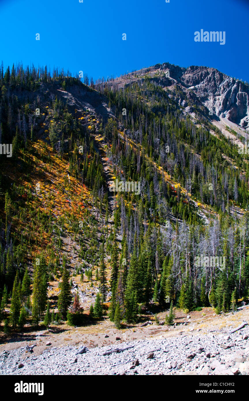 14, 16, 20, Sylvan Pass, Buffalo Bill State Park, Shoshone National Forest & Fluss, Cody, Rodeo, Stampede, Stadion, Wyoming, USA Stockfoto