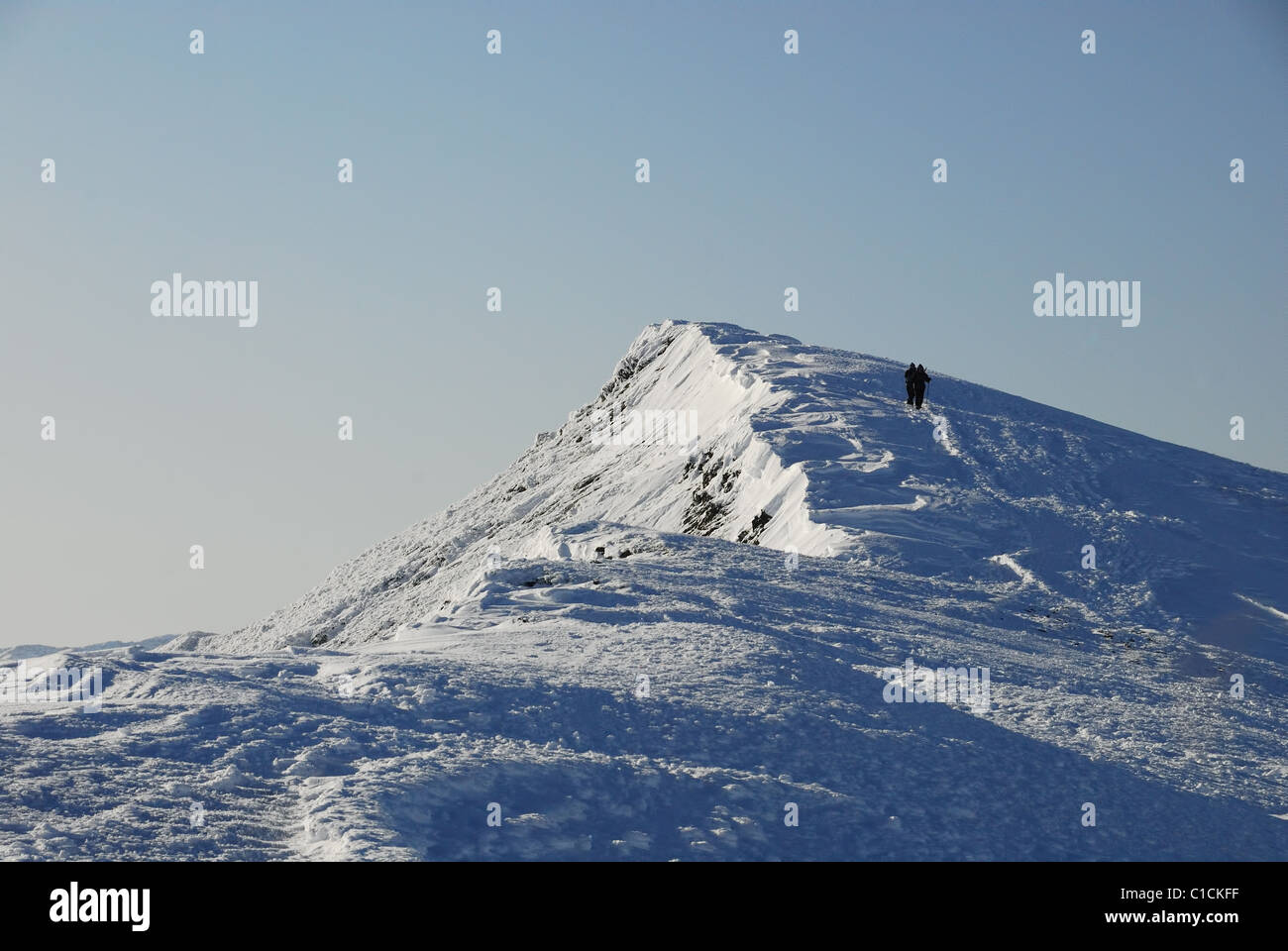 Walker auf dem Schnee bedeckt Gipfel Grat von Blencathra im Winter im englischen Lake District Stockfoto