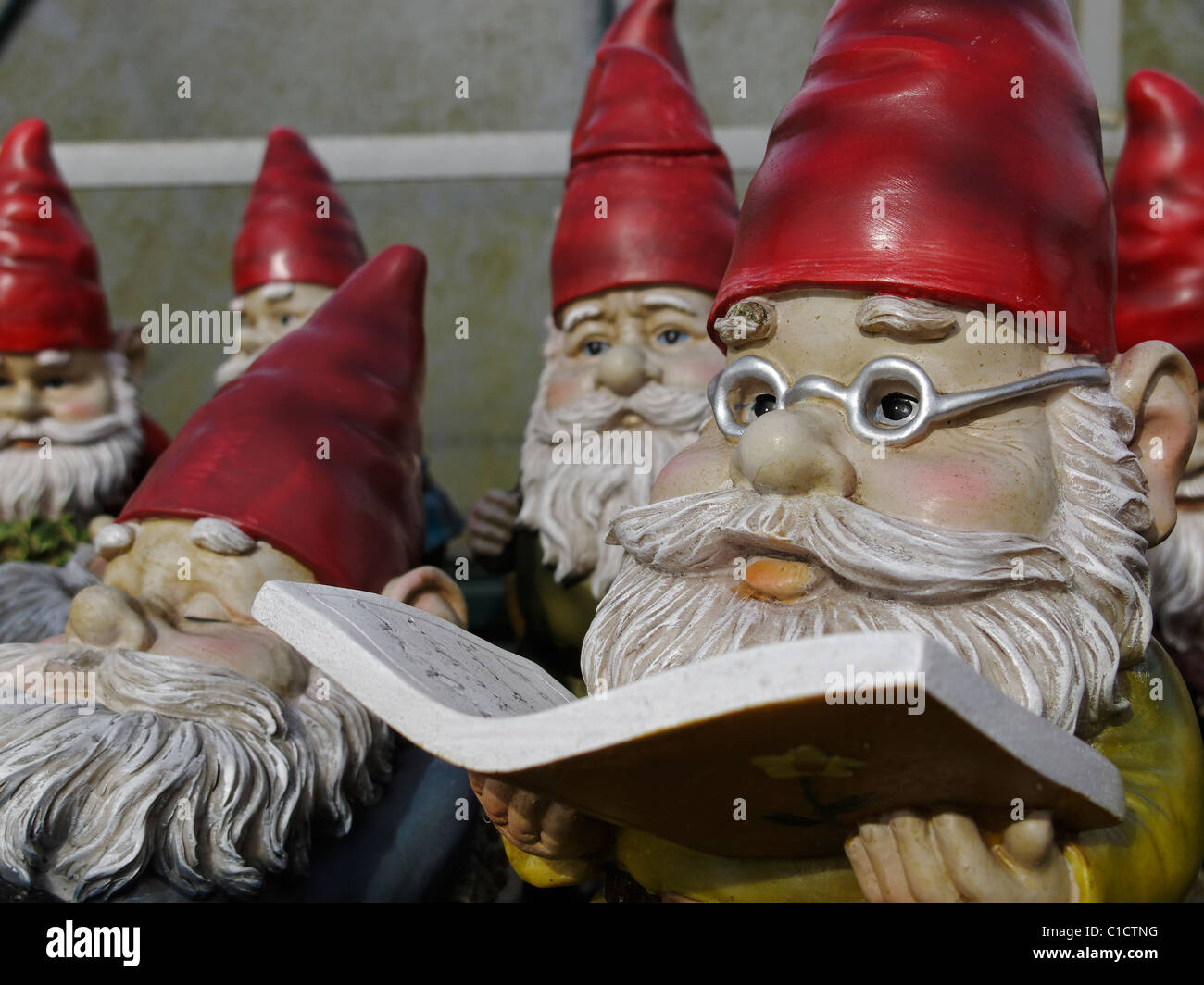 Gartenzwerge. Lincolnshire, England. Stockfoto