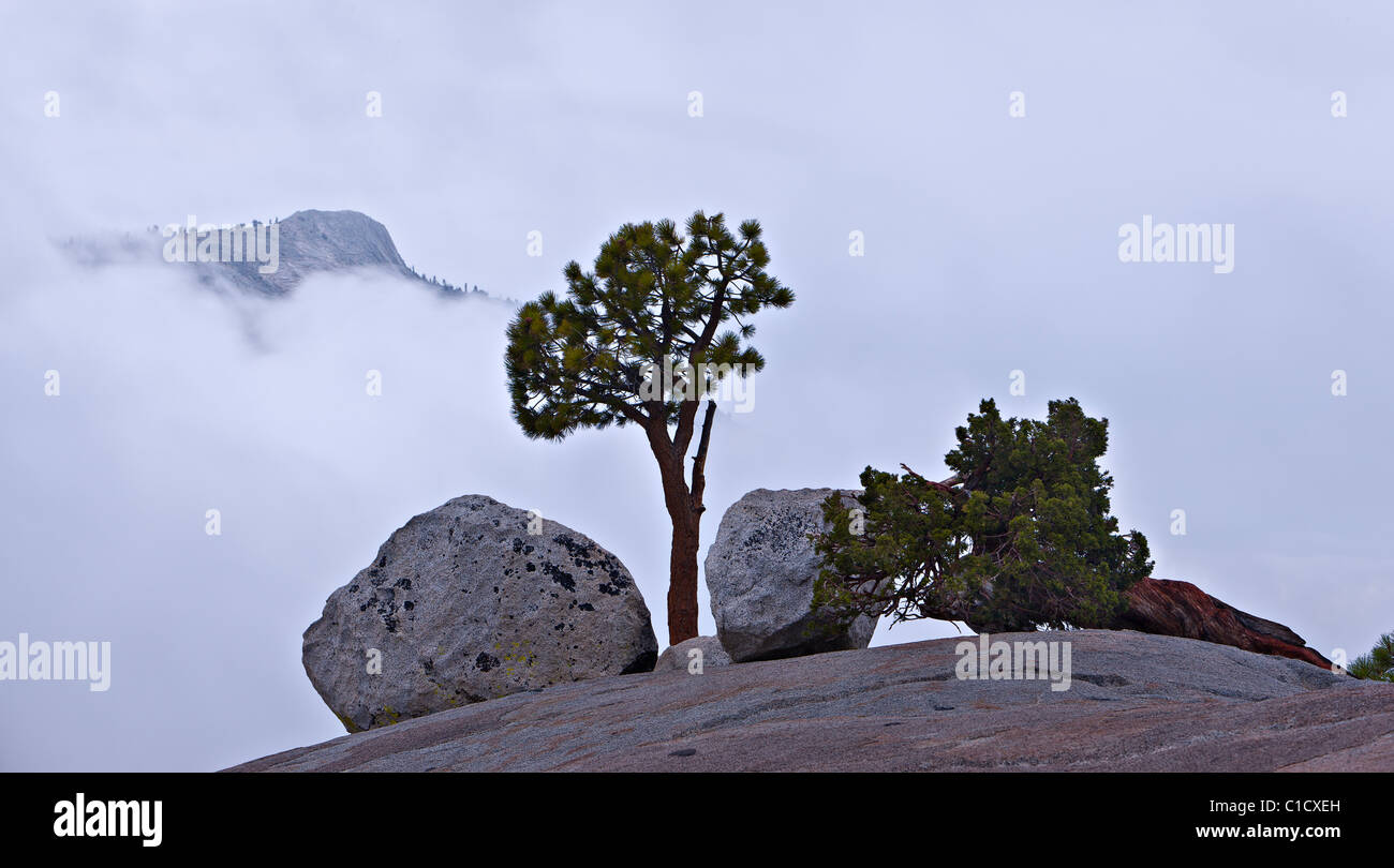 Findlinge, Olmsted Point, Yosemite-Nationalpark. Stockfoto