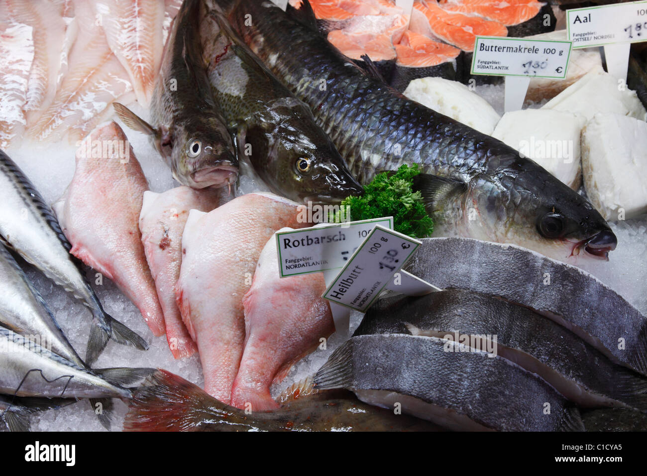 Fisch-Konto in einem Supermarkt Stockfoto