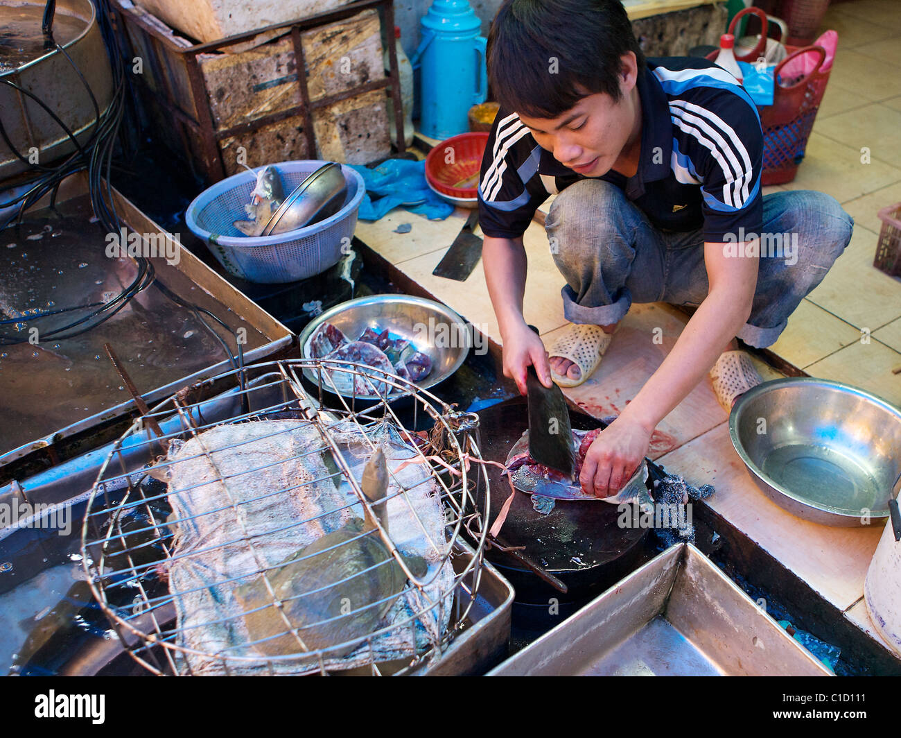 Ein Mann bereitet frische Schildkröte Fleisch in einem Straßenmarkt in Hanoi, Vietnam Stockfoto