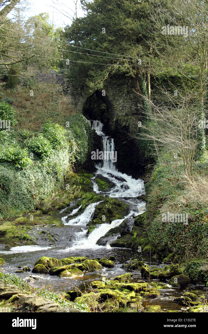 Clapham fällt Yorkshire Dales nr Ingleborough im zeitigen Frühjahr Stockfoto