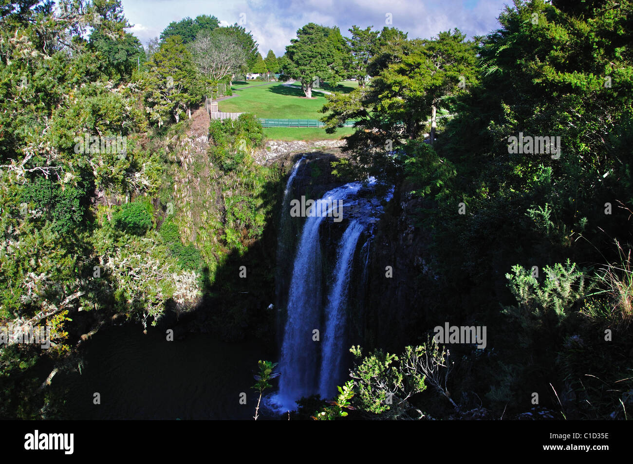 Whangarei Falls, Whangarei, Region Northland, Nordinsel, Neuseeland Stockfoto